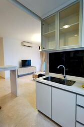 Angullia Park Residences @ Orchard (D10), Apartment #471967881
